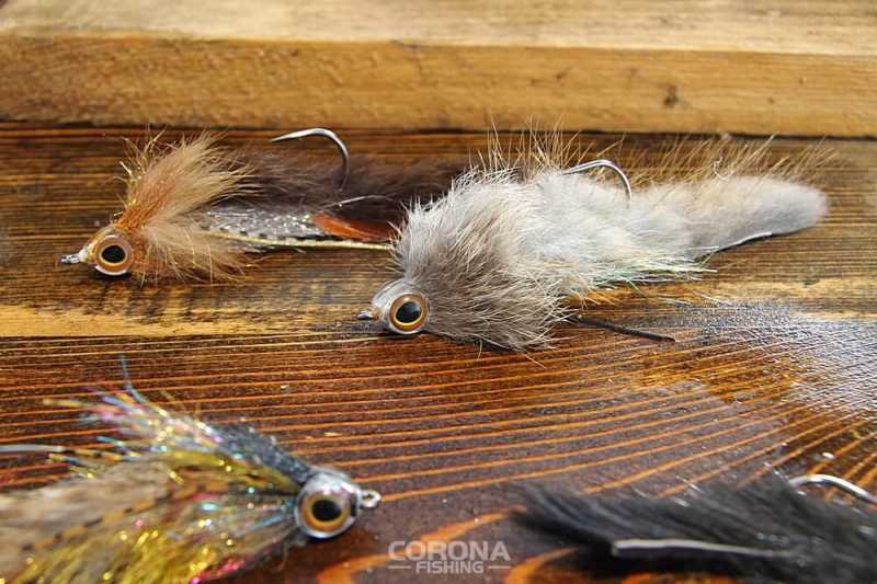 streamer czeburaszki na pstąga